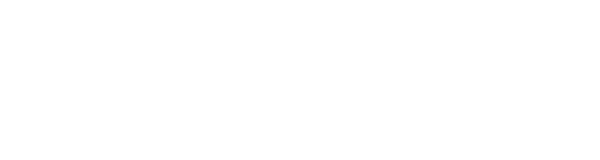 Saldo 365